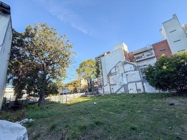 place photo 10