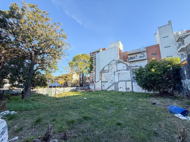 place photo 6