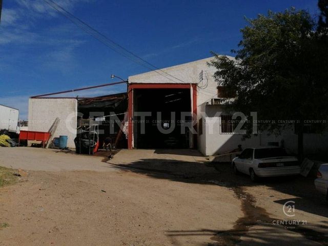 place photo 13