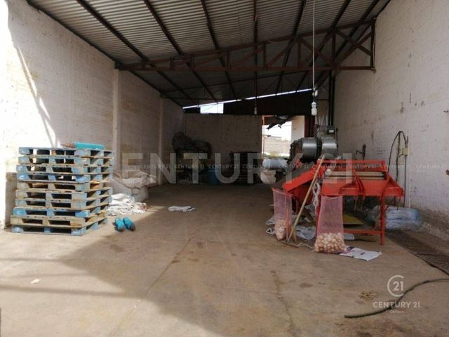 place photo 12