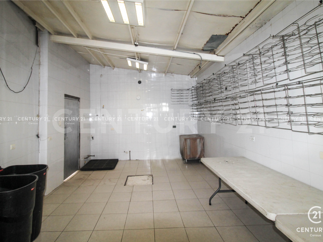 place photo 34