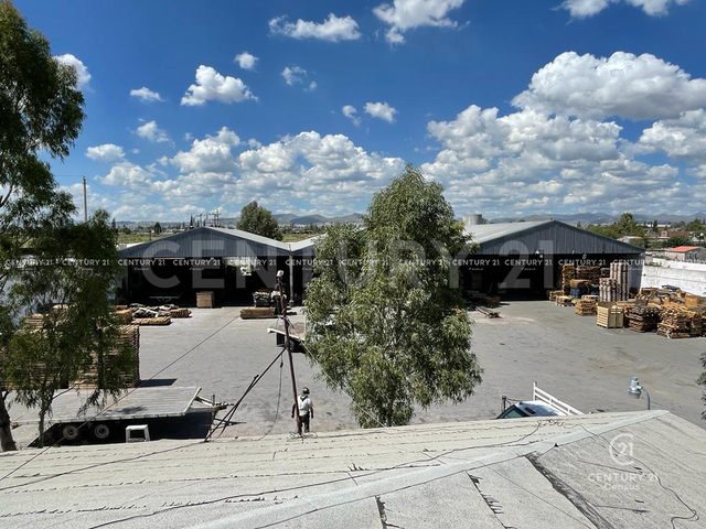 place photo 12