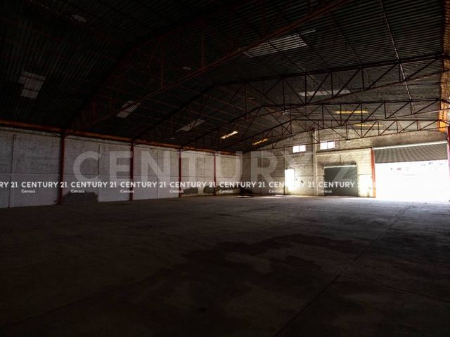 place photo 16