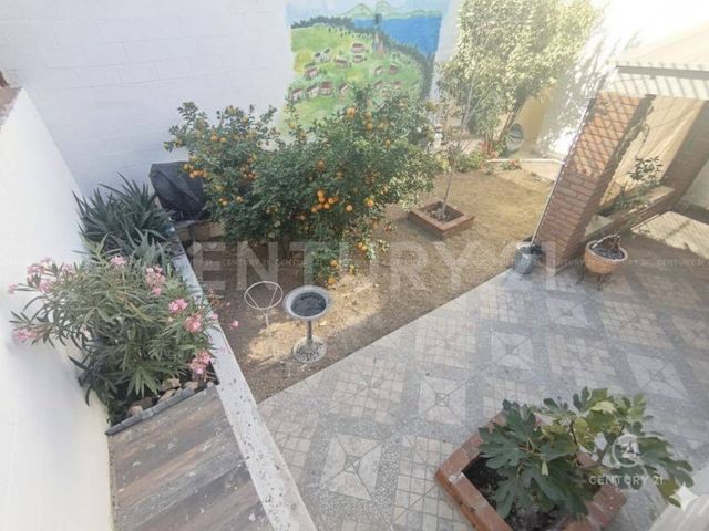 place photo 15