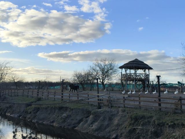 place photo 19