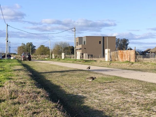 place photo 17