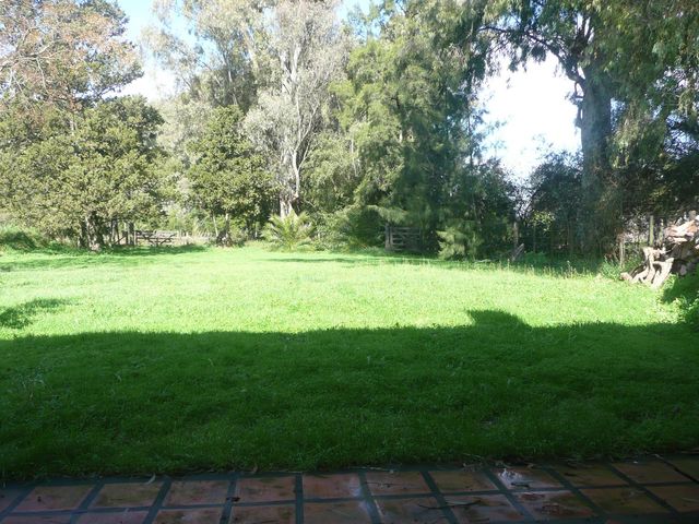 place photo 39