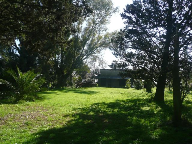 place photo 38