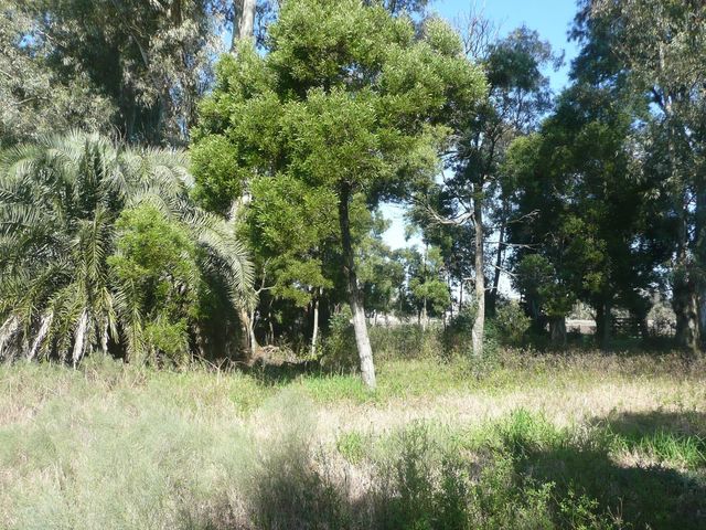 place photo 36