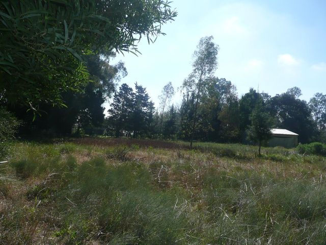 place photo 37