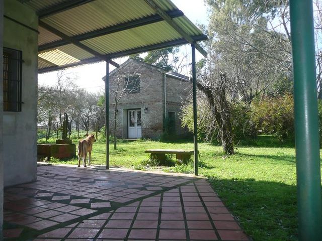 place photo 4