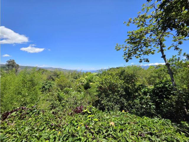 place photo 67