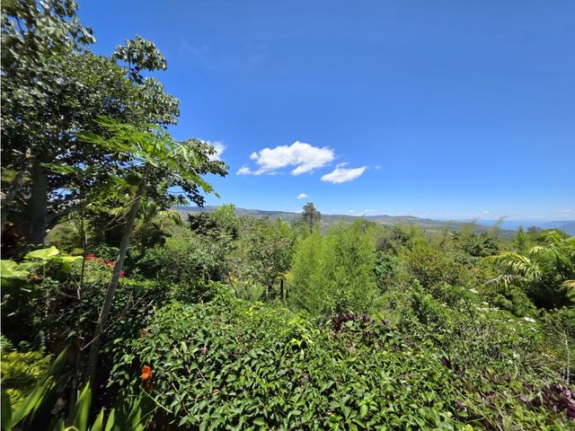 place photo 68