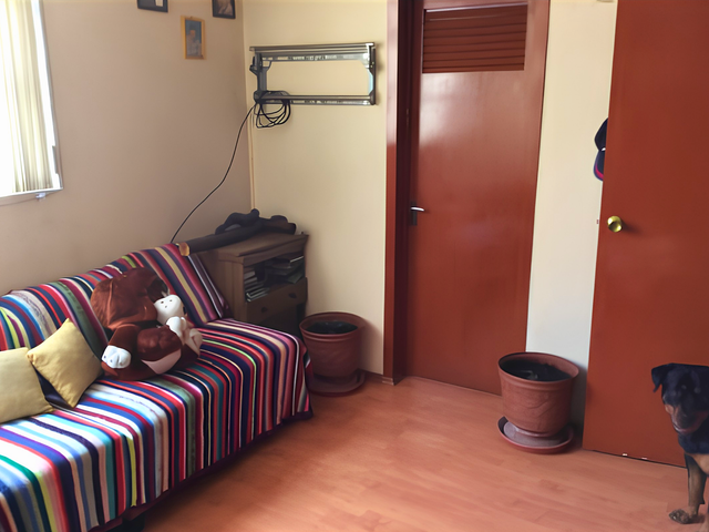 place photo 23