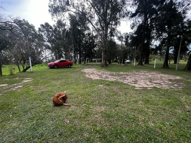 place photo 44
