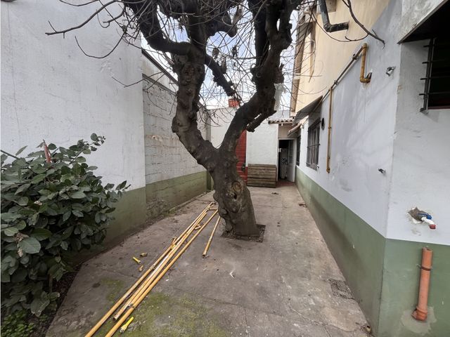 place photo 26