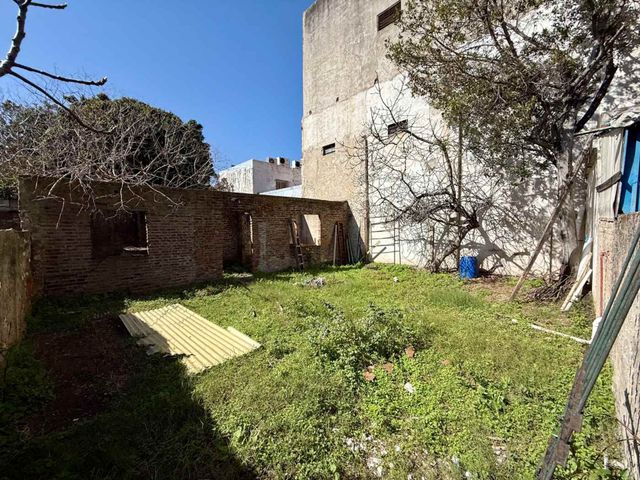place photo 23