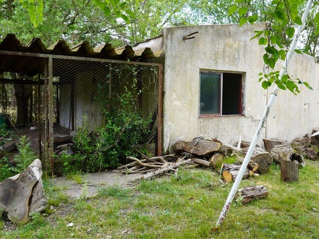 place photo 41