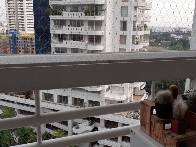 place photo 7