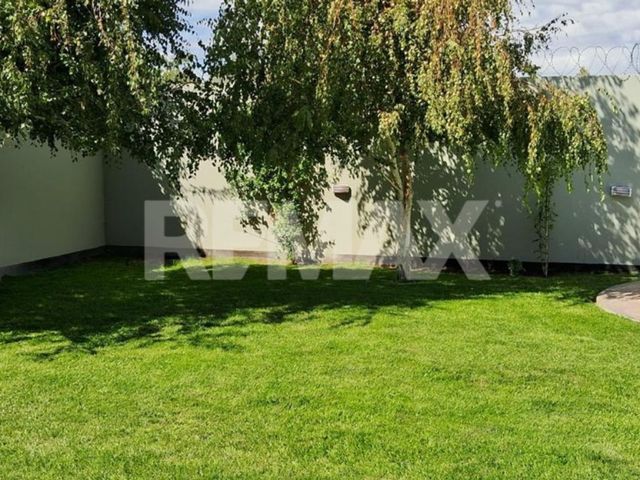 place photo 46