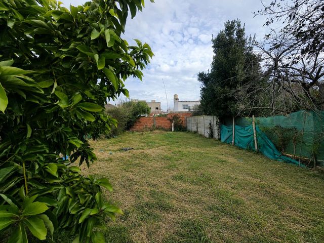 place photo 13