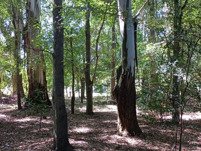 place photo 33
