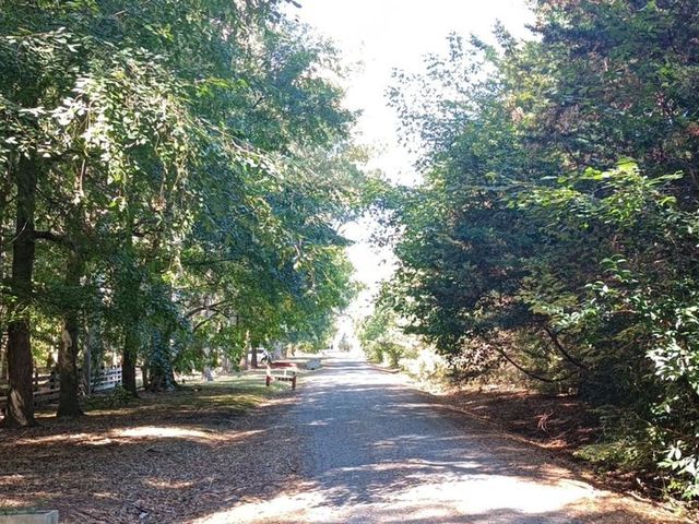 place photo 35