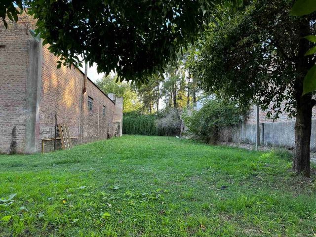 place photo 16