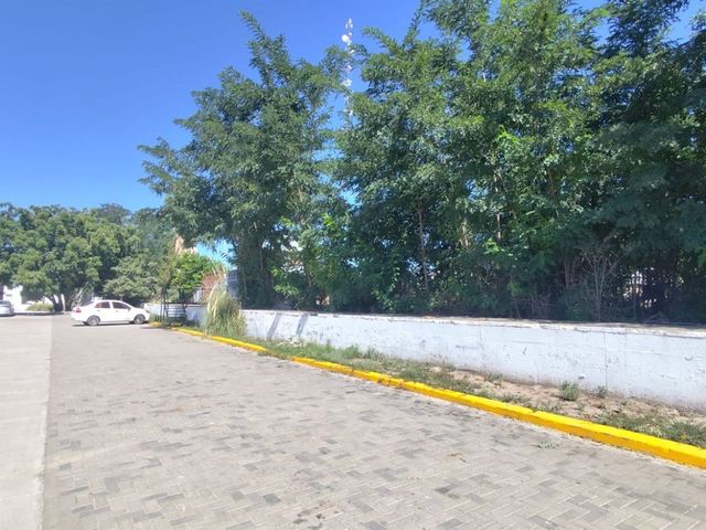 place photo 19