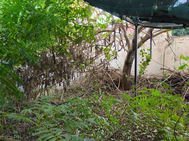 place photo 32
