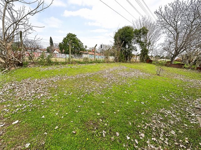 place photo 44