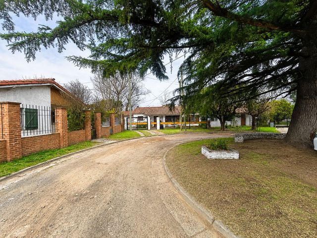 place photo 47