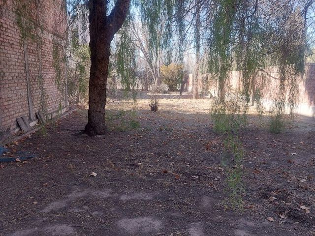 place photo 29