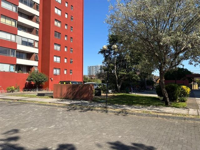 place photo 34