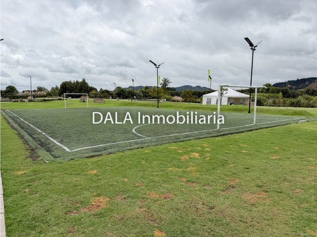 place photo 44
