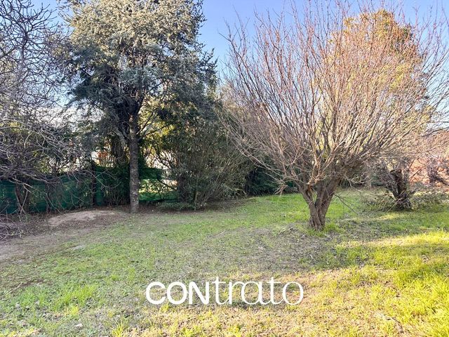 place photo 39