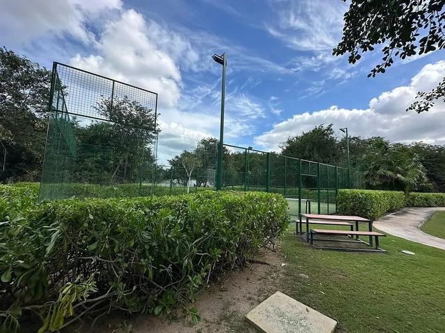 place photo 26