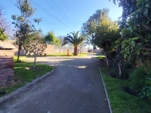 place photo 15