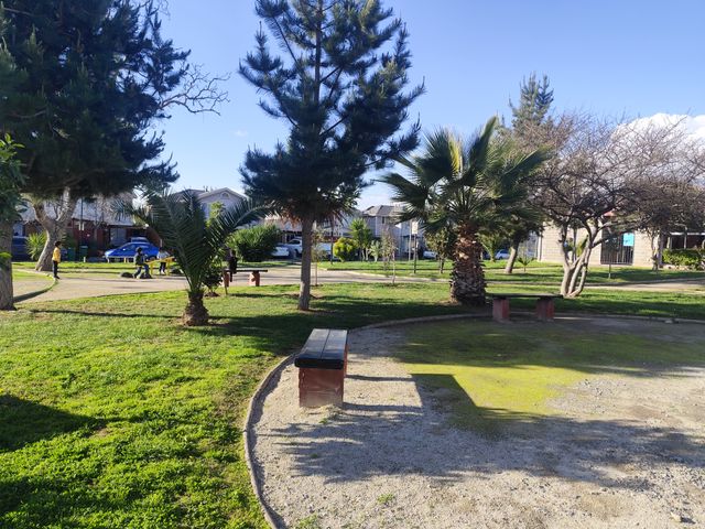 place photo 16