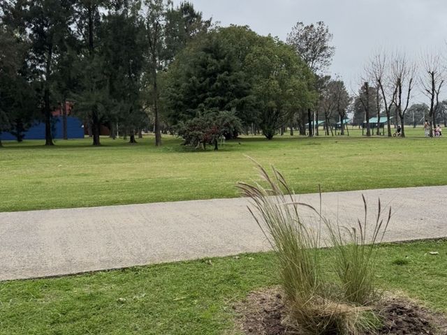 place photo 25