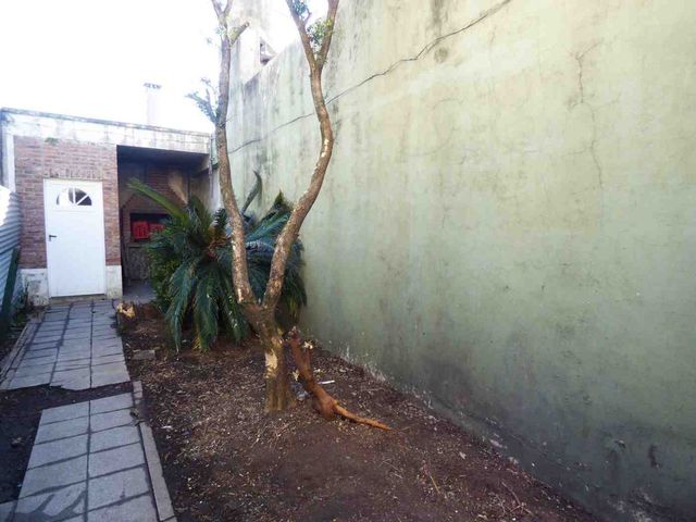 place photo 23