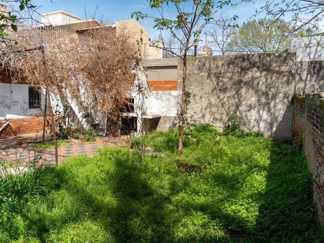 place photo 17