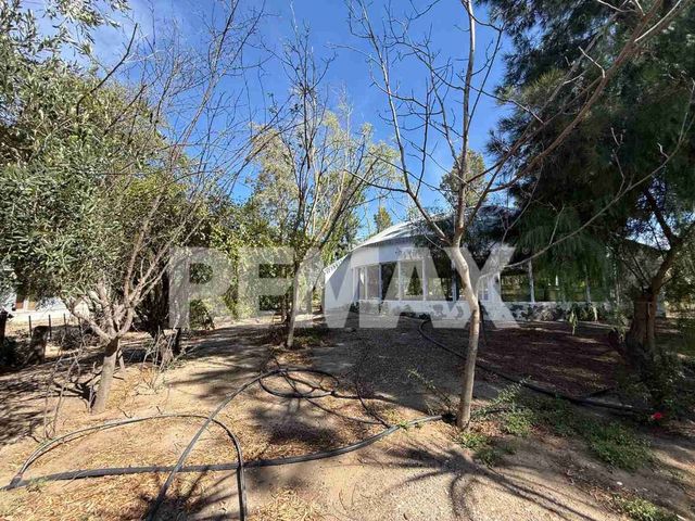 place photo 43