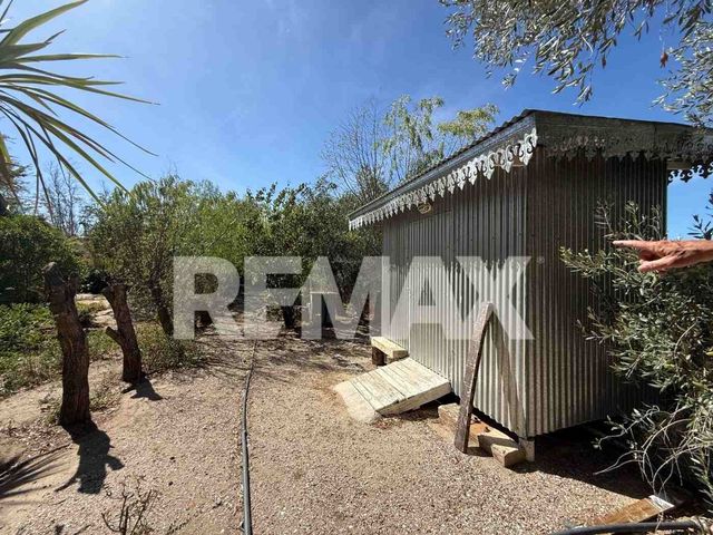 place photo 22