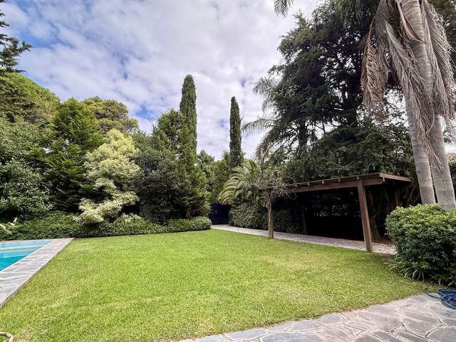 place photo 45