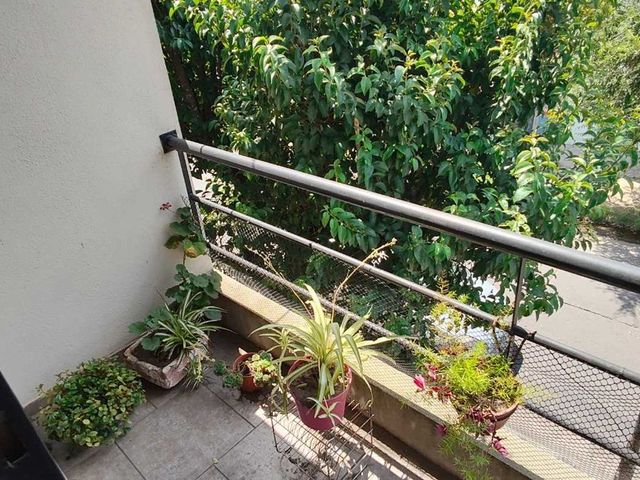 place photo 31