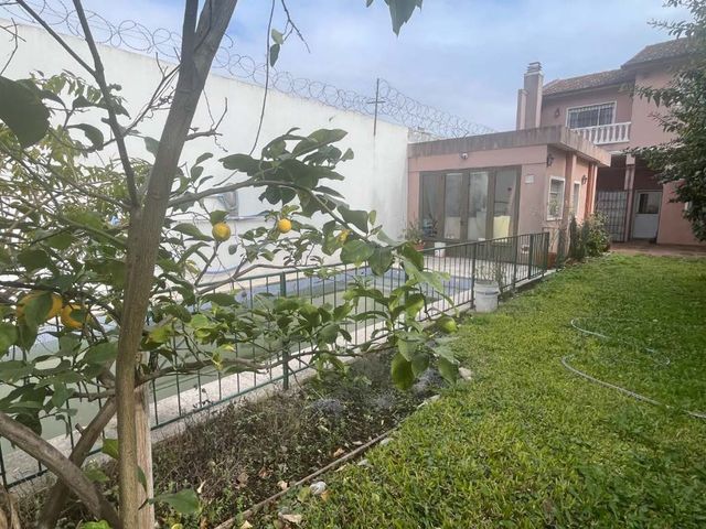 place photo 55