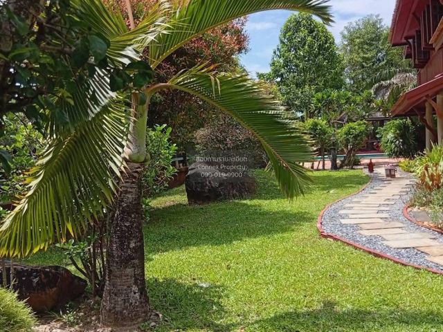 place photo 34