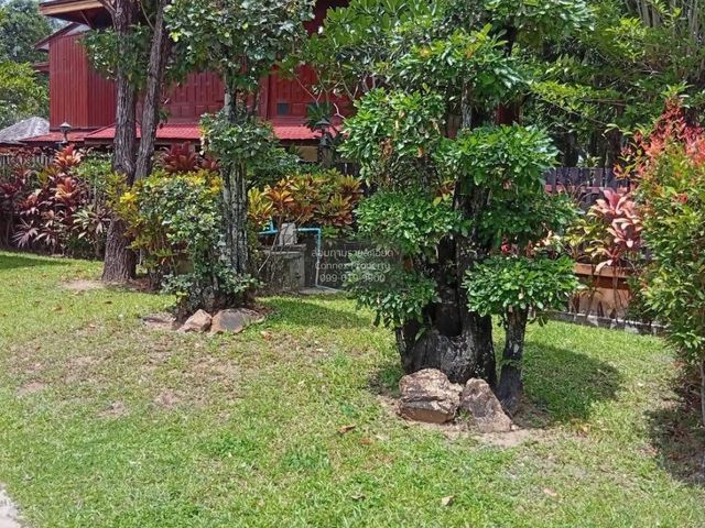 place photo 35