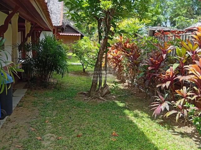 place photo 36